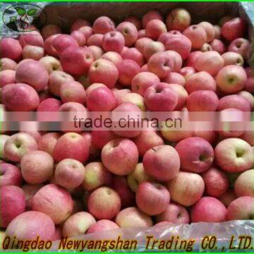 2015 chinese fresh fuji apple/fuji apple and gala apple