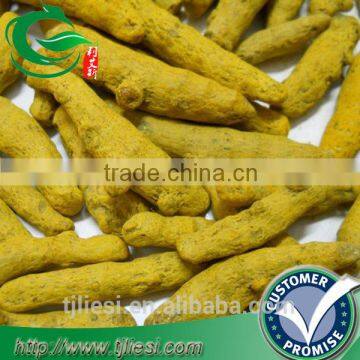 supply tumeric for pungent spice