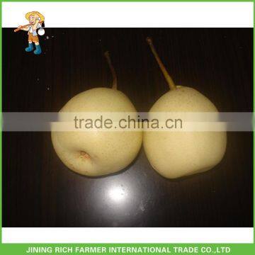 Chinese fruit new crop fresh Ya Pear for export