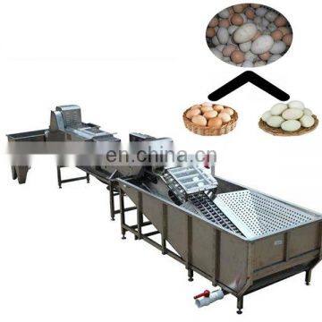 Professional High Efficiency Brush washing egg cleaner machine