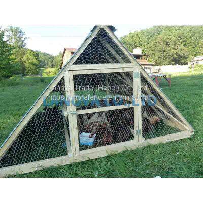 Hexagonal Wire Netting photo-2