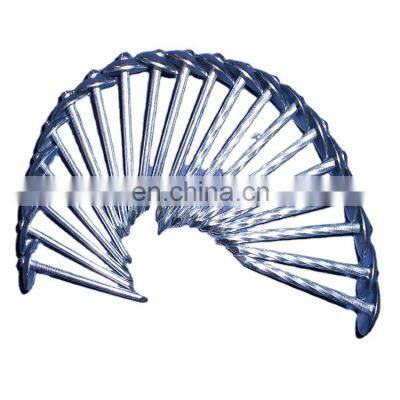 China Supplier Roofing Nails Suppliers in China With High Quality and Low Price Insulated photo-5