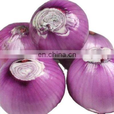 frozen onion hot selling delicious quality Chinese shandong famous brand vegetables