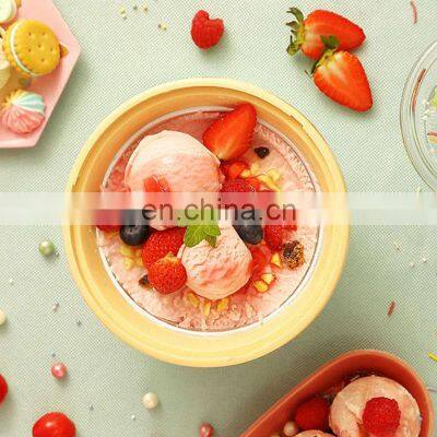Factory Supply ABS Smart 220V Sale Fruit Electric Home Automatic Ice Cream Makers photo-4