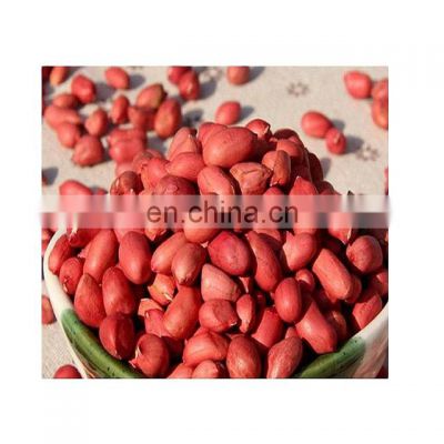 buy China chinese Peanuts Kernels Java and Bold