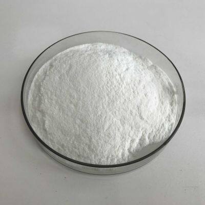 Andrographis Extract 98% Andrographolide photo-5