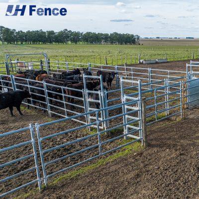 Safe-Containment Cattle Panel: Espaciado óptimo y bordes lisos protegen la salud del ganado durante el manejo diario
