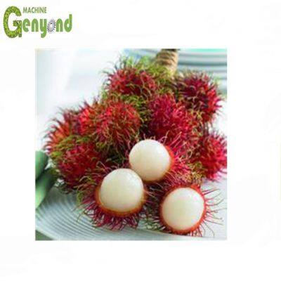 Elektrische Rambutan-Schälmaschine