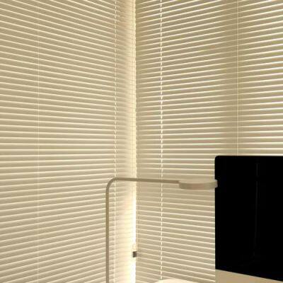 Horizontal Blinds