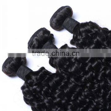 WJ002 5A Grade 100% Virgin Kinky Afro Curl Ombre Hair Extension Supplier's Choice photo-5