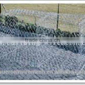 hot sales Gabion box 2X1X1