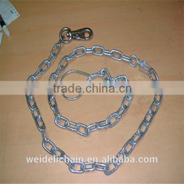 high quality electro galvanized dog choke chain