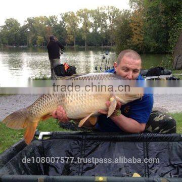 250M 0.06mm ULTRA THIN PE 4 Braided Fishing Line 100% Made in Germany Smooth Strong Round Mega-4-braid photo-6