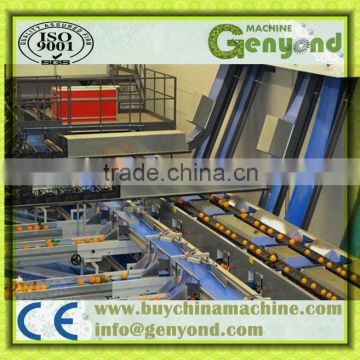 Hydraulic Automatic Loading Electronic Fruit Grading Machine