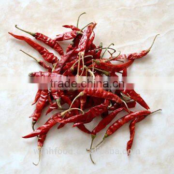 dry red chilli
