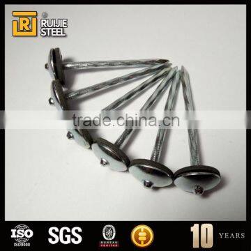Bright Steel Nail ,umbrella Head Roofing Nails,large Head Iron Nails photo-6