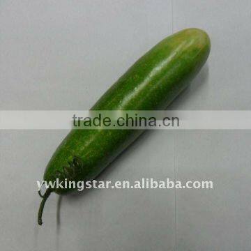 Artificial Cucumber