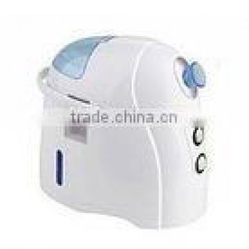 mini facial steamer