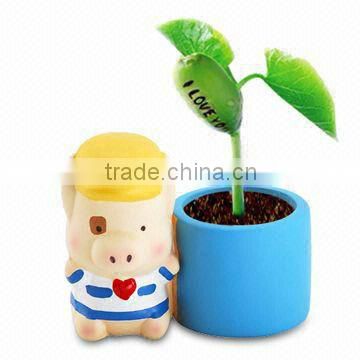 Message bean in cartoon pot, magic bean