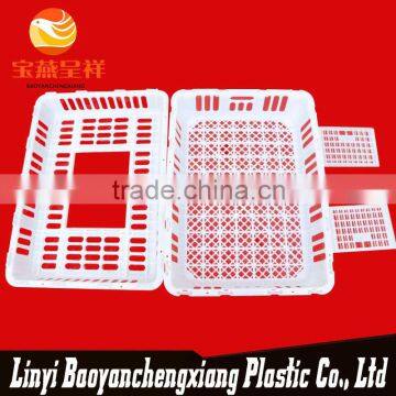 New Polyethylene China Nice Plastic Chicken Cage photo-2