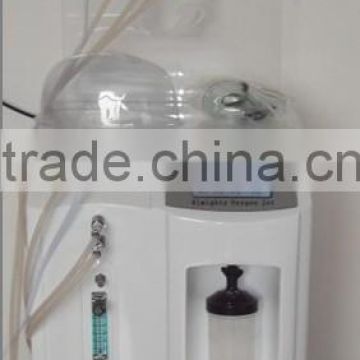 outstanding quality multifunctional face beauty Water Oxygen machine