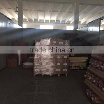 Semi-glossy Eco-solvent Polyester Roll Canvas Ink photo-6