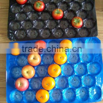 Manufacturing China Supplier/SGS/Disposable Fruit Trays