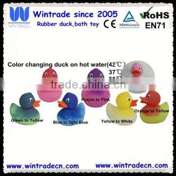 Novelty baby duck change color