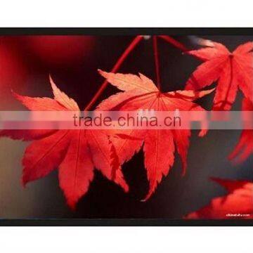 Factory price black velvet fixed Frame projection screen classroom screen for business meeting room screen