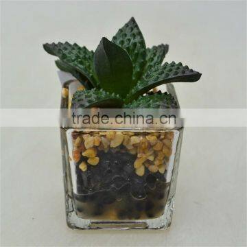 New Product Hotel Artificial Plant with Little Glass pot