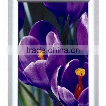 wall photo frame