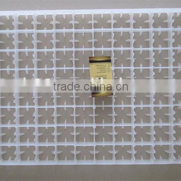 plastic from 88 to 33792 cells egg tray for hatching