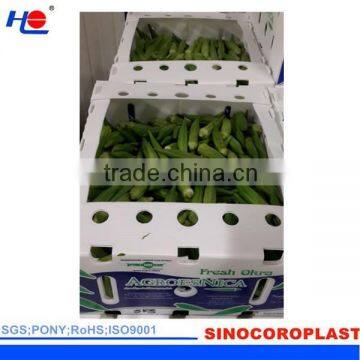 Plastic PP Okra Box