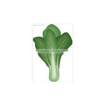 Multi-function Fresh Vegetable Packing Machinery (DCTWB-350X) photo-3