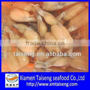 Hot sale of Frozen high quality bull frog legs