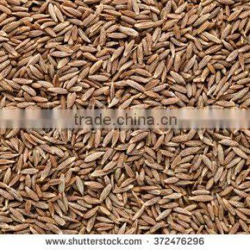 CUMIN SEED MACHIN CLEAN photo-5
