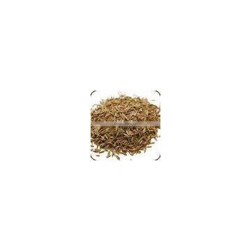 Caraway Seed