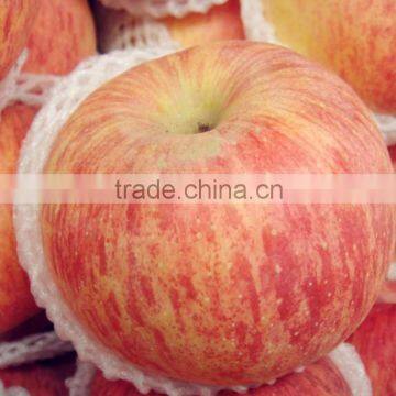 Fresh Apple Fruit Price