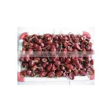 Round Red Chilles From Paramakudi photo-2