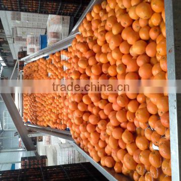 40-48-56-64-72-80-88 navel orange package in carton