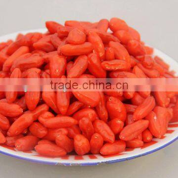 Organic goji fruit bacche+di+goji+biologica+certificata for sale