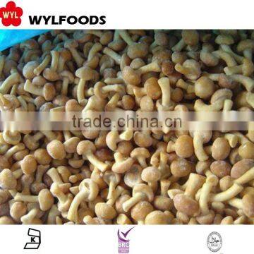 china frozen nameko mushroom new product