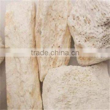 Dry Herbs Chinese Ossa Draconis
