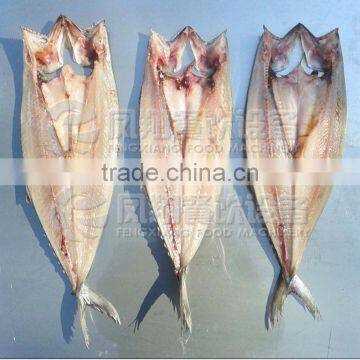 FGB-170 Fish Fillet Machine With High Efficiency photo-3