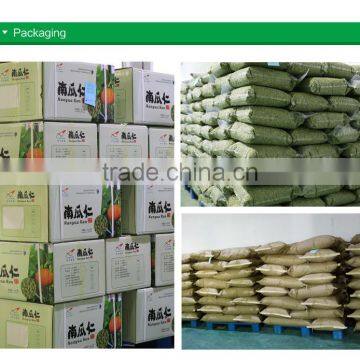 Green Pumpkin Seed Kernel Grown Without Shell photo-4