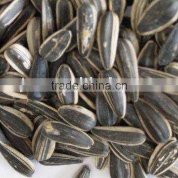 Sunflower Seeds