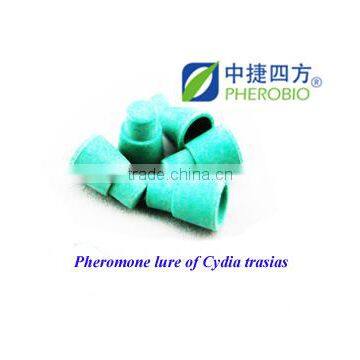 Pheromone Lure for Cydia trasias, Sex Pheromone Bait & Pheromone Trap for Cydia trasias