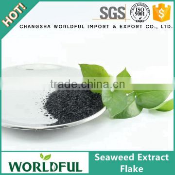 Top Quality Seaweed Extract Flake Organic Fertilzier Seaweed Extract Fertilizer