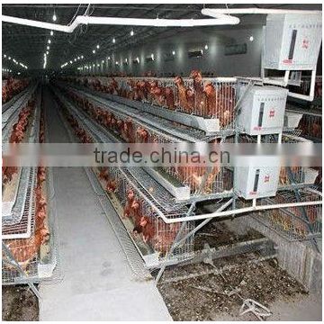 Layer Chicken Cage For Poultry Farm