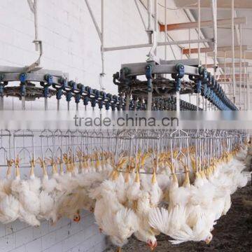 Farm machine1000bph poultry slaughter machine